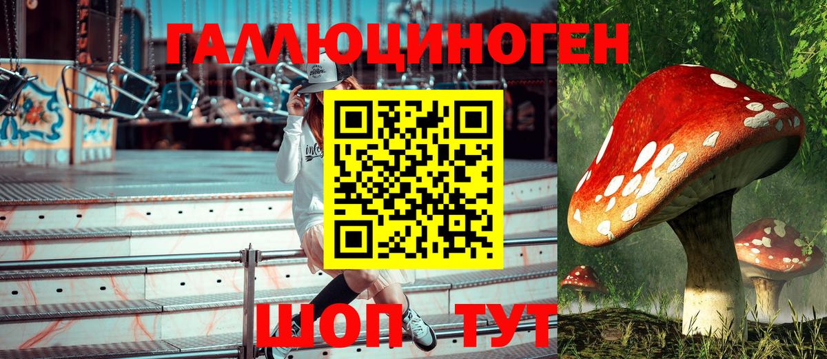 Кострома  Галлюциногенные грибы прущие грибы  Вход с VPN  Галлюциногенные грибы ЛСД 